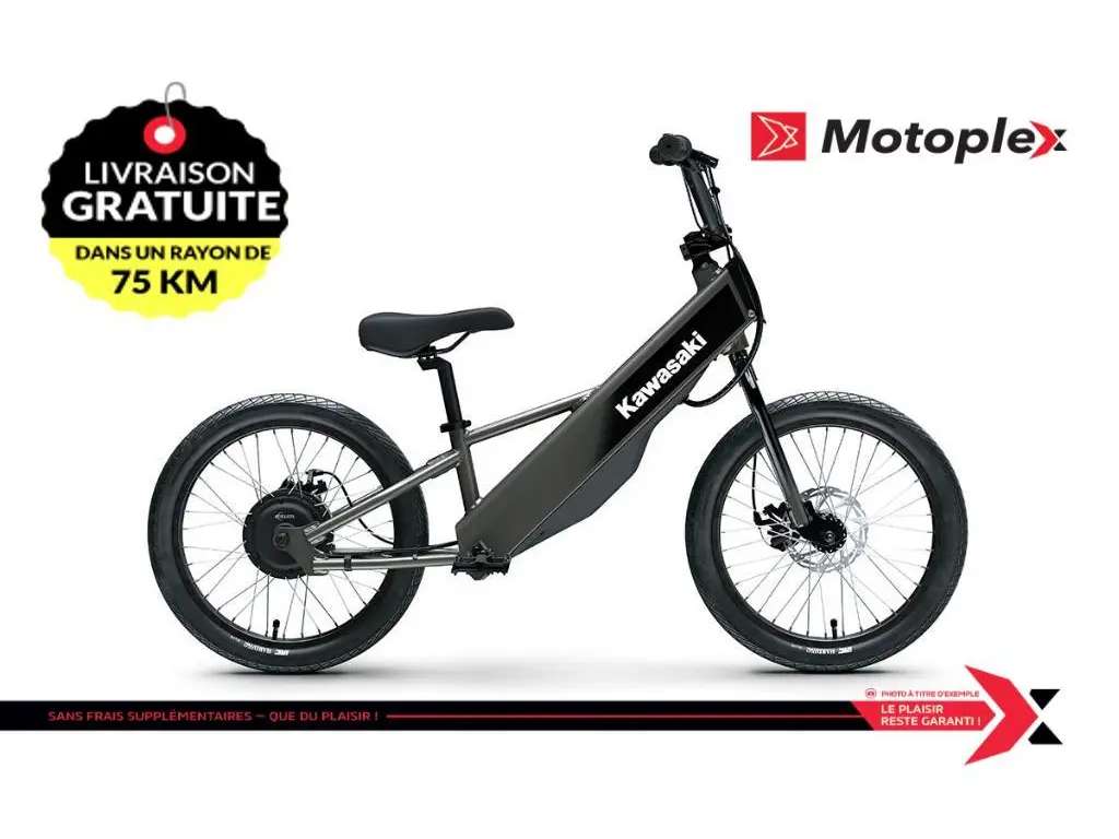 2025 Kawasaki ELEKTRODE 20FS