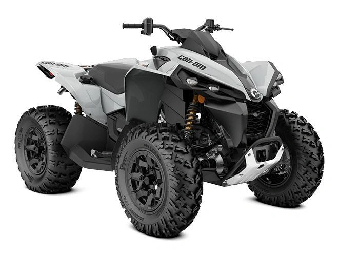 Can-am Renegade 2024 alt