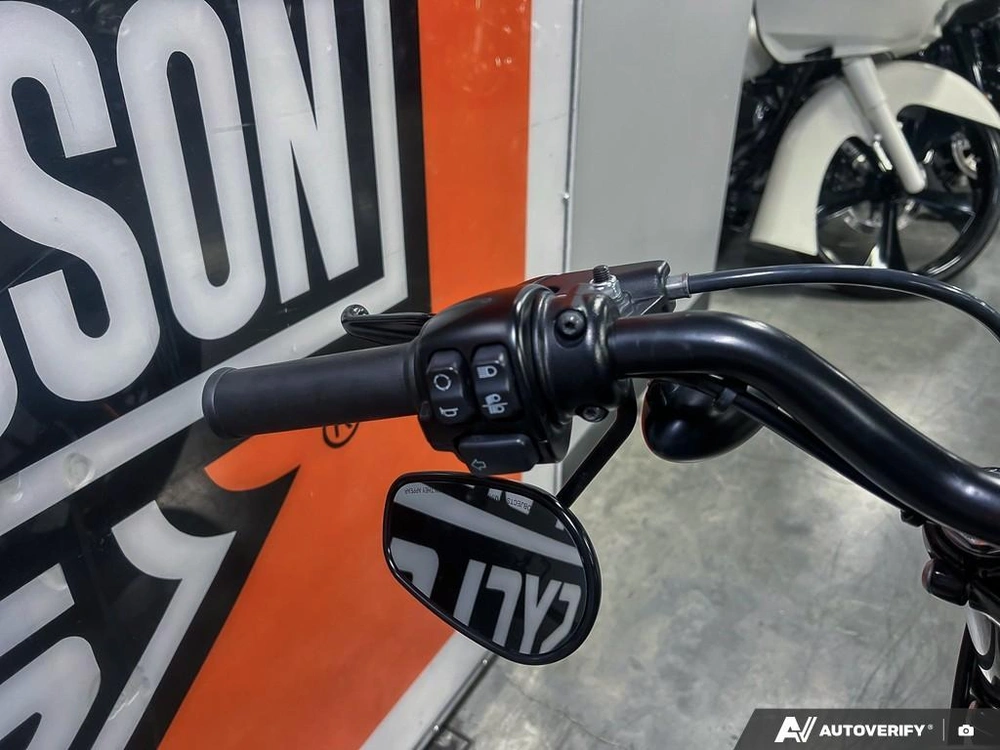 2017 Harley-davidson Xl883n - Iron 883™ alt