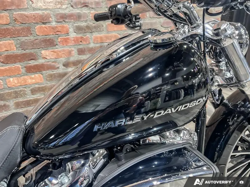 2025 Harley-Davidson FXBR - Breakout™ thumbnail 9