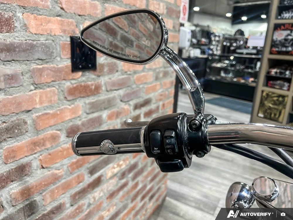 2006 Harley-davidson Fxstb Night Train alt