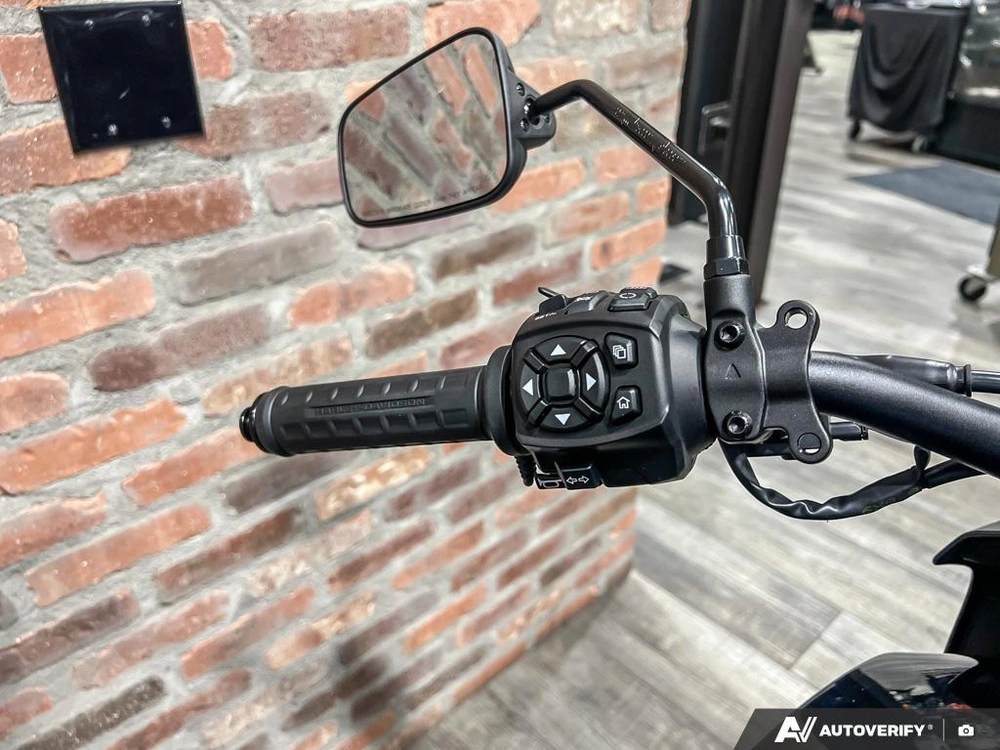 2025 Harley-davidson Ra1250st - Pan America® 1250 St alt