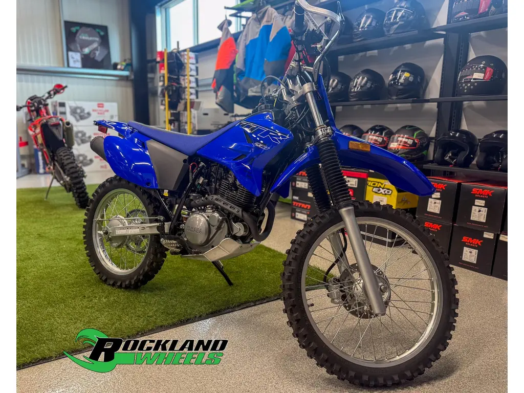 2022 Yamaha TTR 230