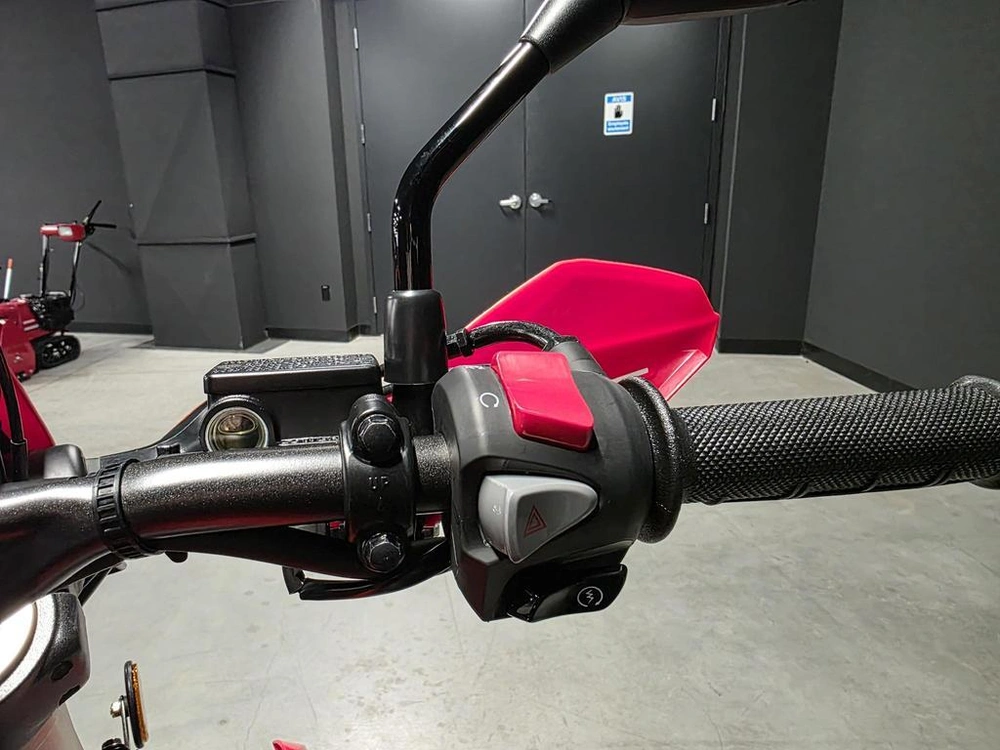 Honda Crf300l 2024 alt