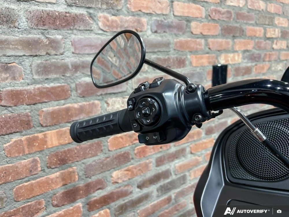 2025 Harley-davidson Fltrx - Road Glide® alt