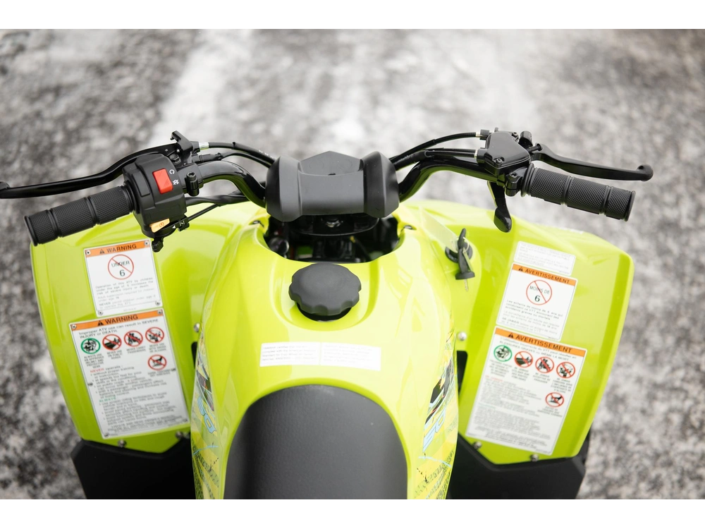 2026 Yamaha Yfz50 alt