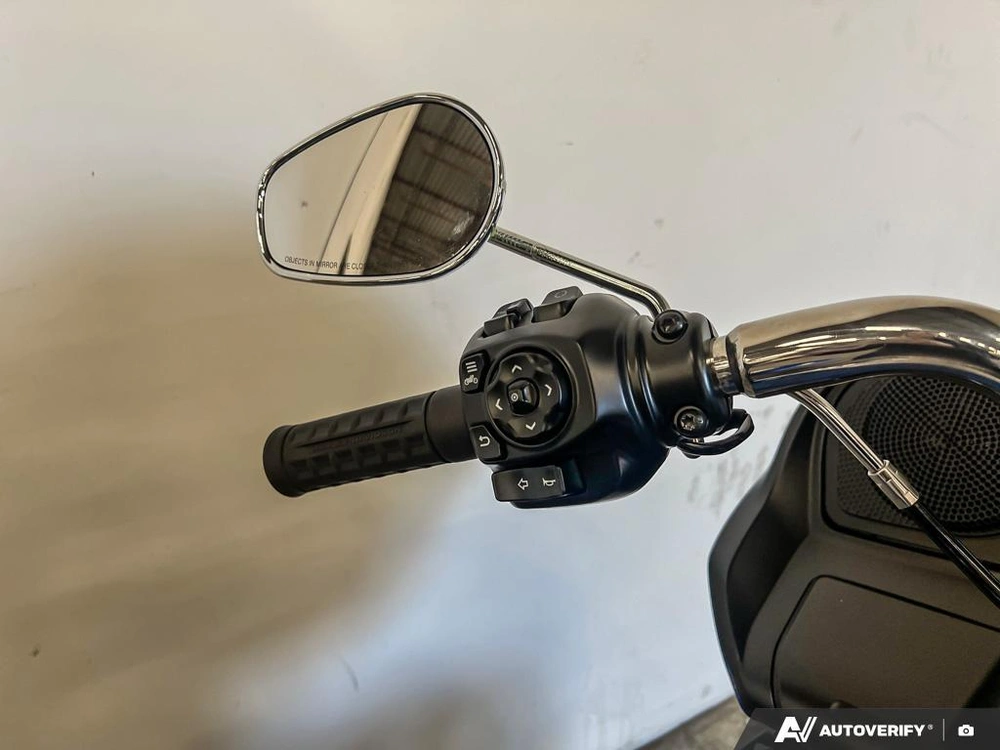 2025 Harley-davidson Fltrx - Road Glide® alt