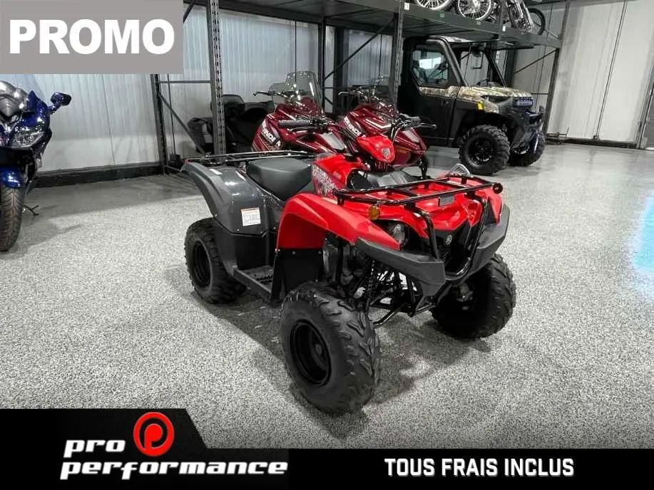 2025 Yamaha Grizzly 110 