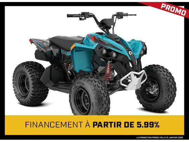 2026 Can-Am Renegade 110 EFI