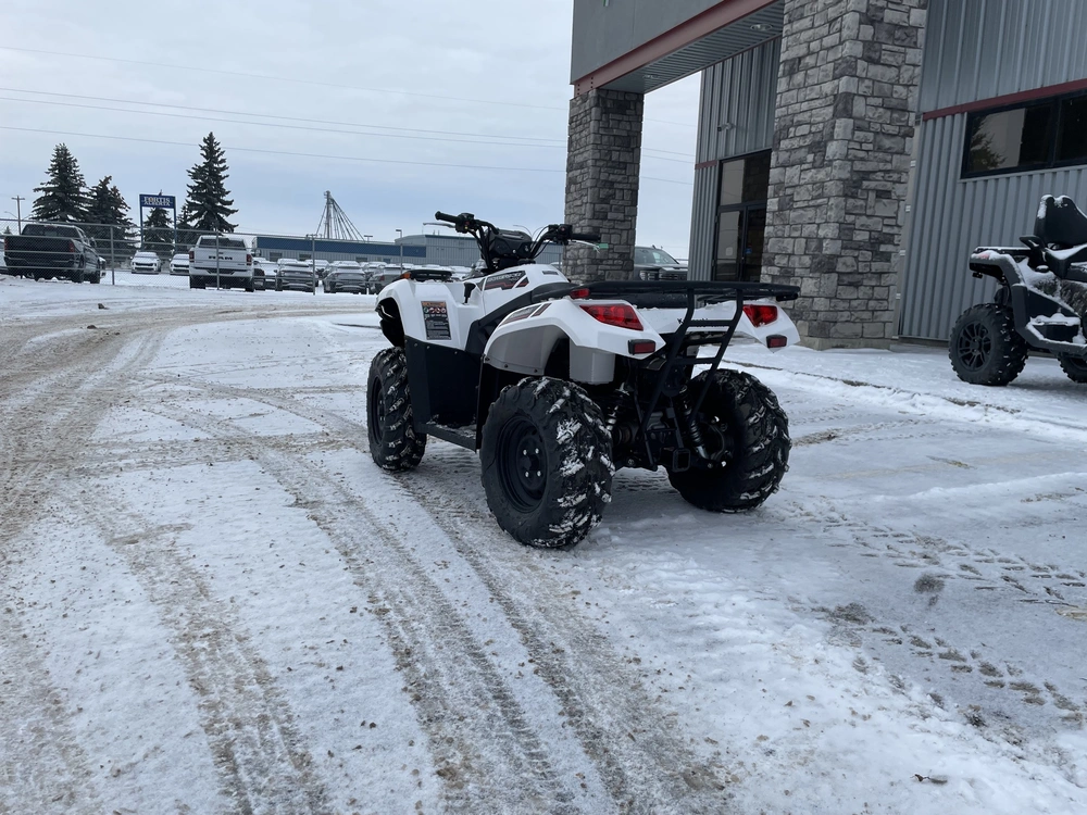 2025 Kawasaki Brute Force 450 alt