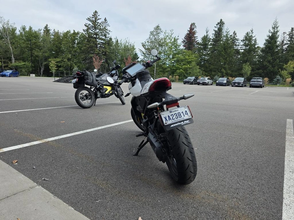 Can-am Pulse 2025 alt