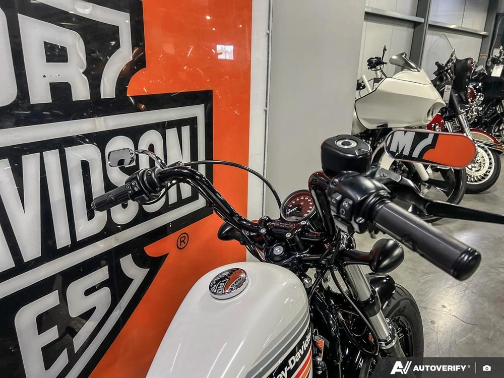 2018 Harley-davidson Xl1200xs - Sportster® Forty-eight® Special alt