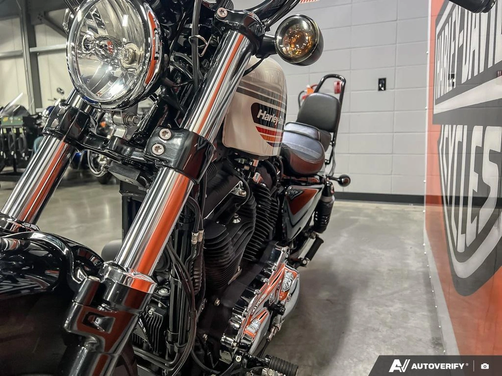 2018 Harley-davidson Xl1200xs - Sportster® Forty-eight® Special alt