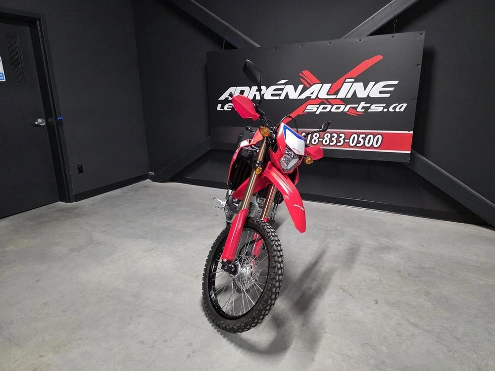 Honda Crf300l 2024 alt