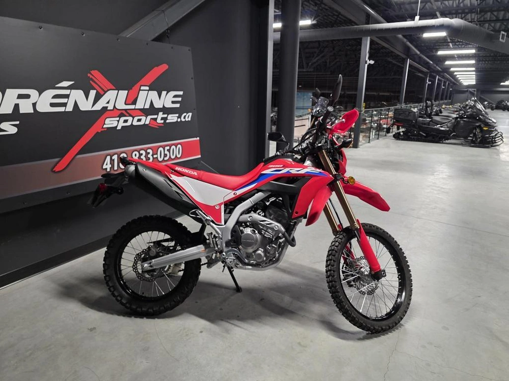 Honda Crf300l 2024 alt