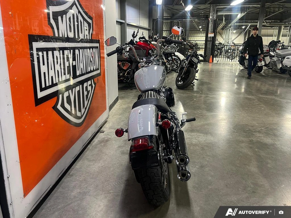 2024 Harley-davidson Fxst - Softail™ Standard alt