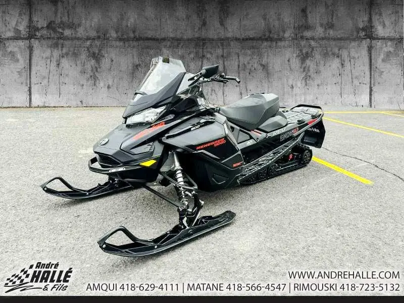 2020 Ski-Doo RENEGADE ENDURO 900