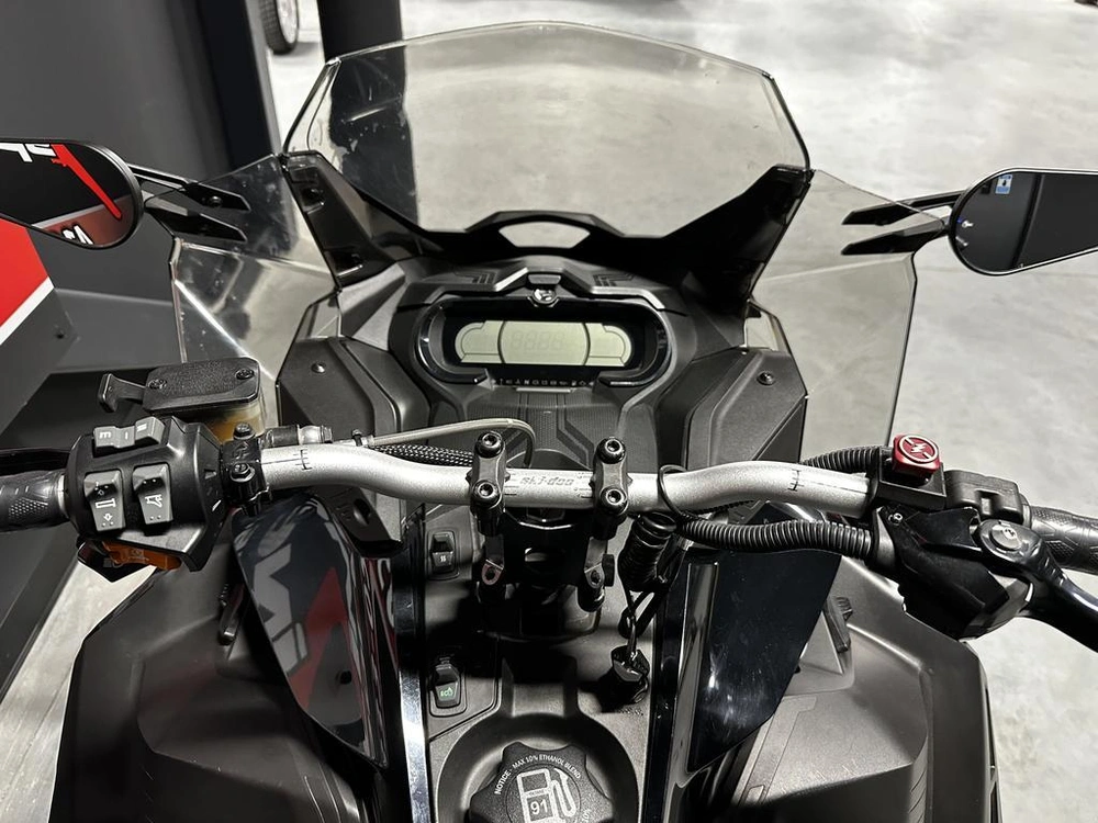 Ski-doo Renegade Enduro 900 Turbo 2020 alt