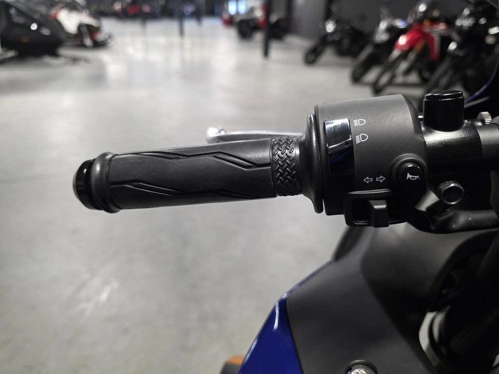 Yamaha Yzf-r3 2024 alt