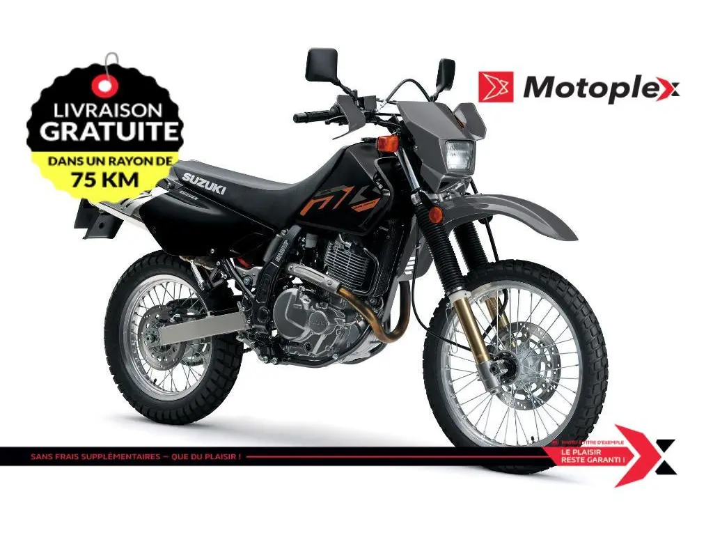 2025 Suzuki DR650SE