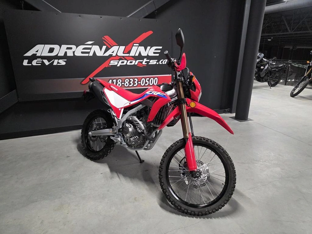 Honda Crf300l 2024 alt