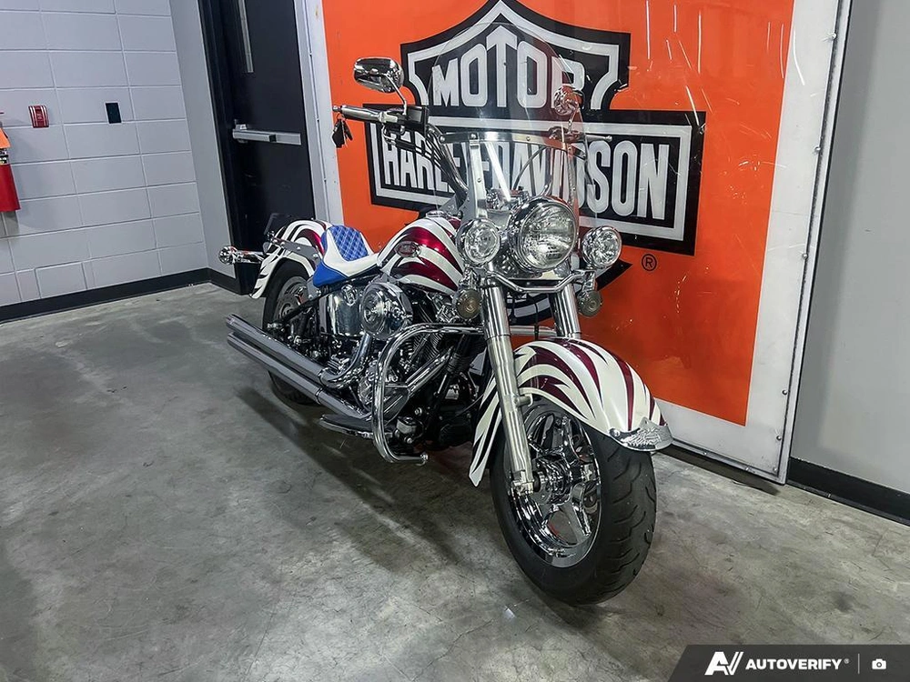 2004 Harley-davidson Flstci Heritage Classic alt