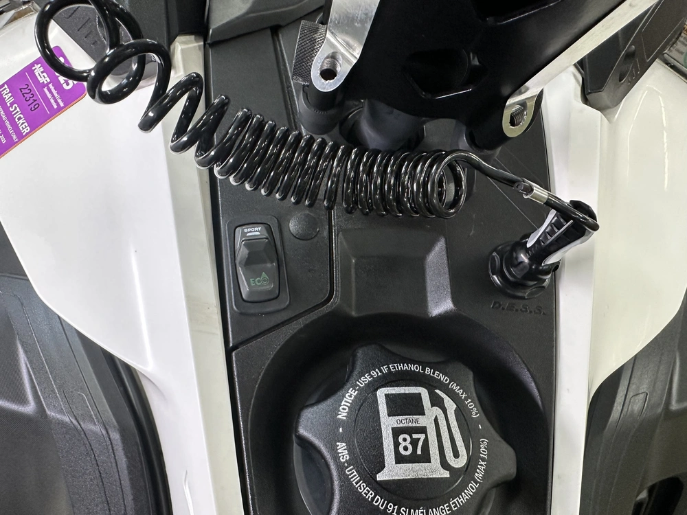 2022 Other Expedition Sport 900 Ace alt