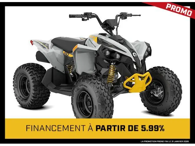 2026 Can-Am Renegade 110 EFI