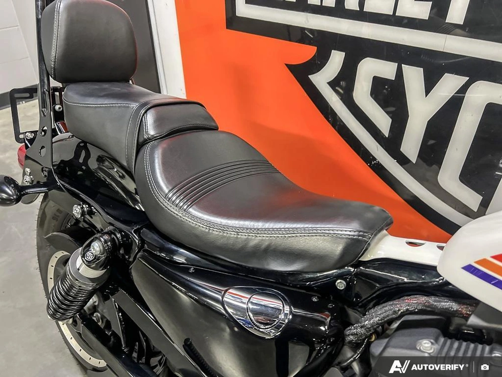 2018 Harley-davidson Xl1200xs - Sportster® Forty-eight® Special alt