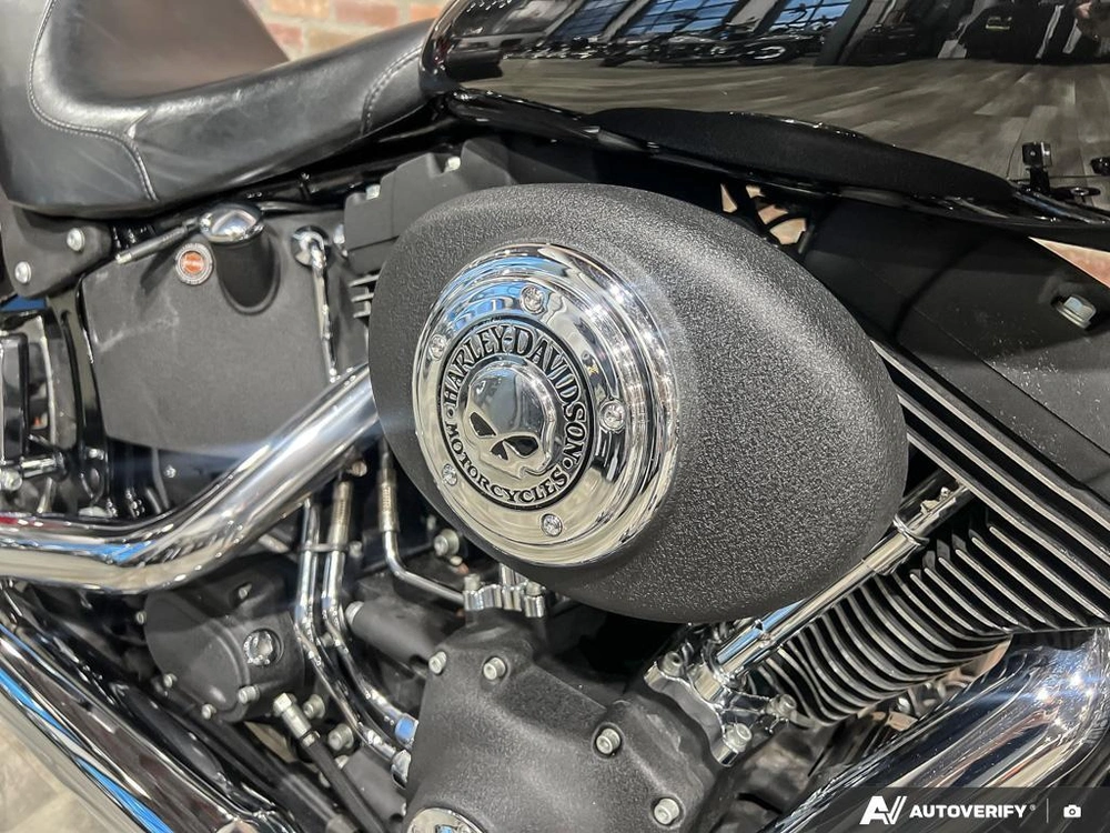 2006 Harley-davidson Fxstb Night Train alt