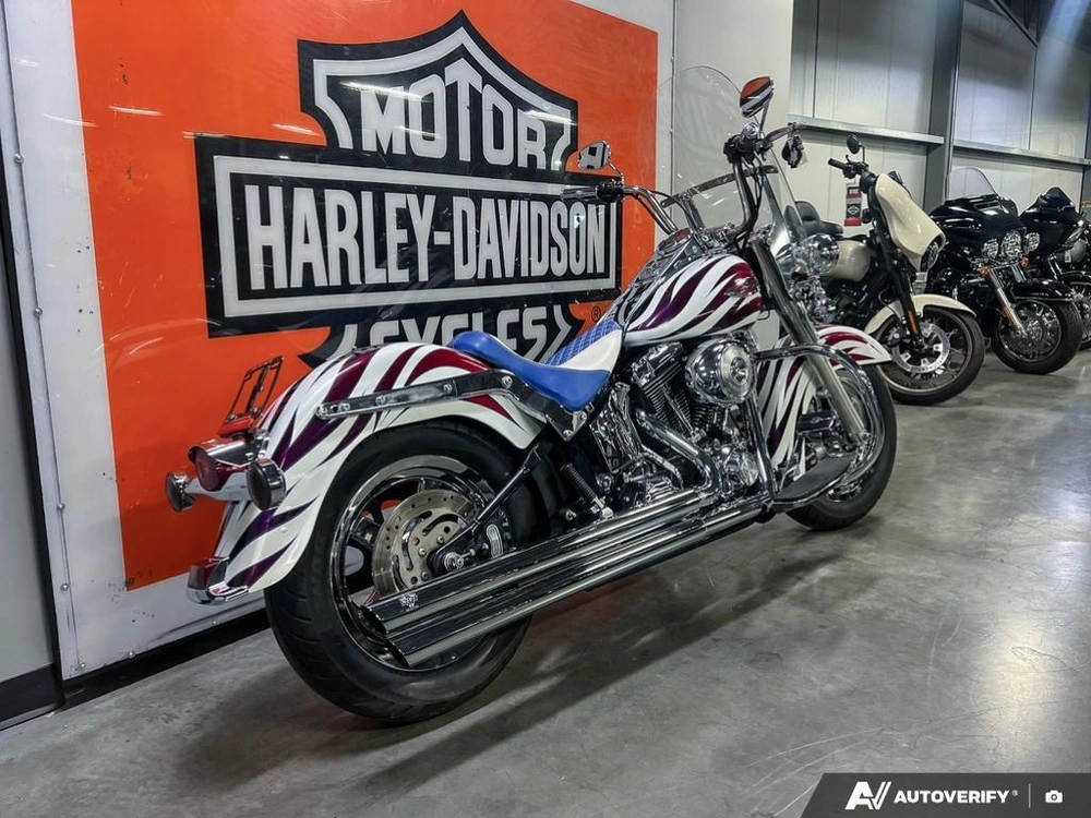 2004 Harley-davidson Flstci Heritage Classic alt