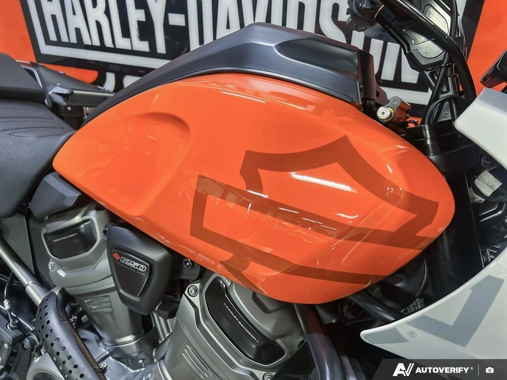 2021 Harley-davidson Ra1250s Pan America Special alt