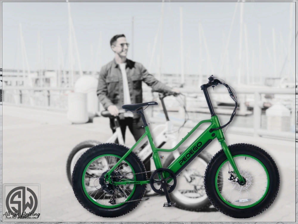 2021 Pedego Element alt