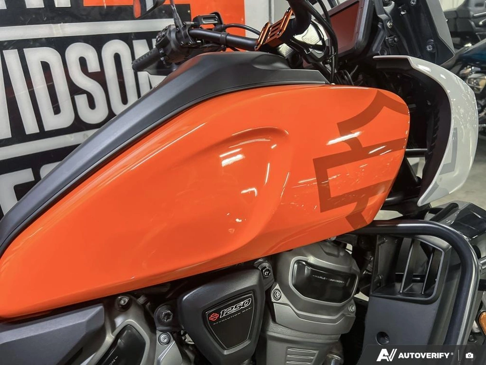 2021 Harley-davidson Ra1250s Pan America Special alt