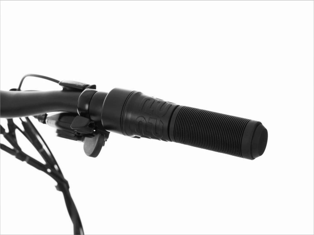 2021 Pedego Element alt