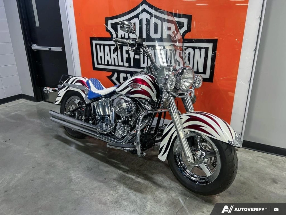 2004 Harley-davidson Flstci Heritage Classic alt