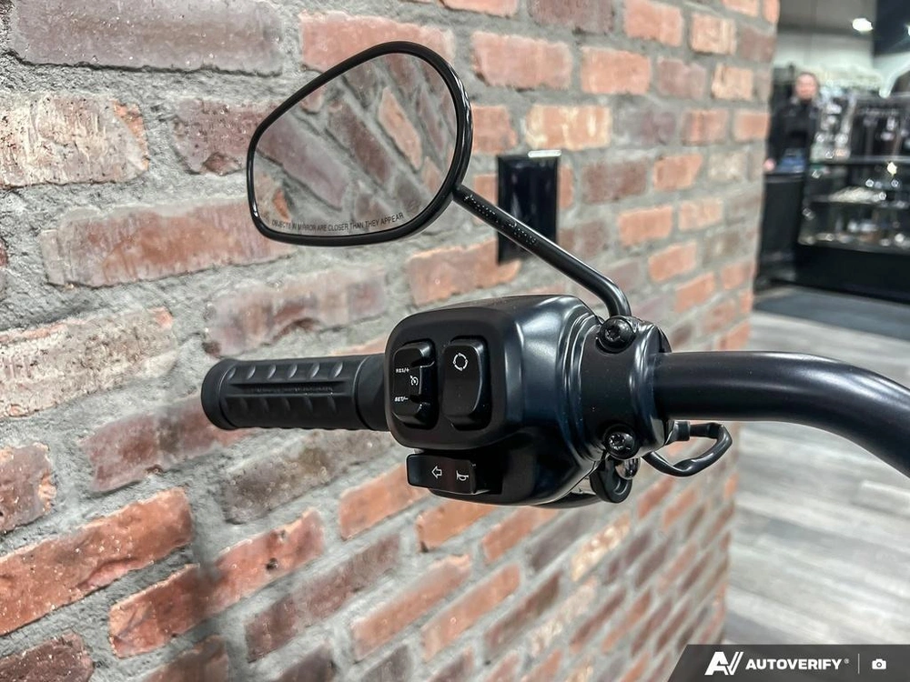 2025 Harley-davidson Fxlrs - Low Rider® S alt