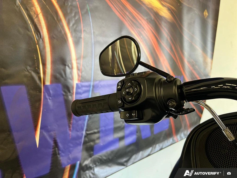 2025 Harley-davidson Fltrx - Road Glide® alt