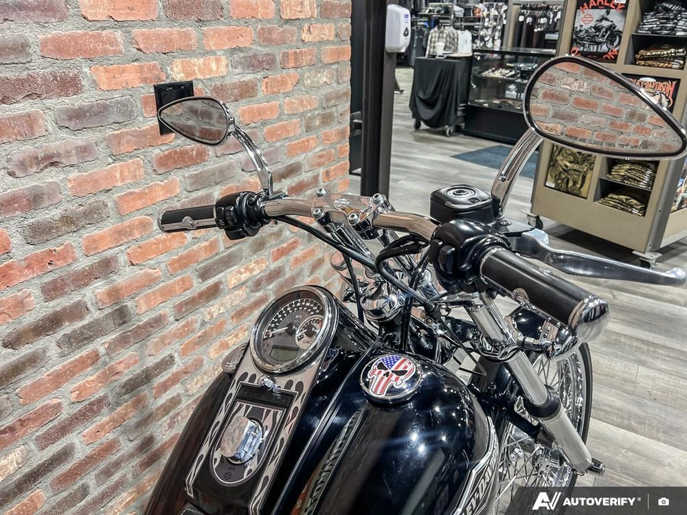 2006 Harley-davidson Fxstb Night Train alt