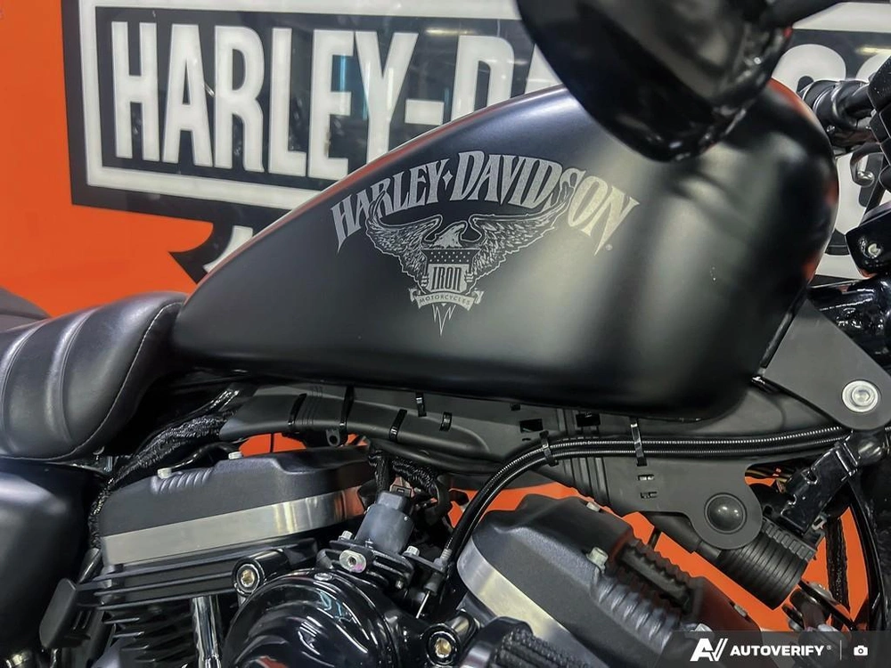 2017 Harley-davidson Xl883n - Iron 883™ alt
