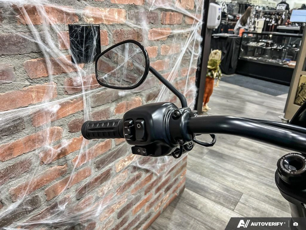 2025 Harley-davidson Fxlrs - Low Rider® S alt