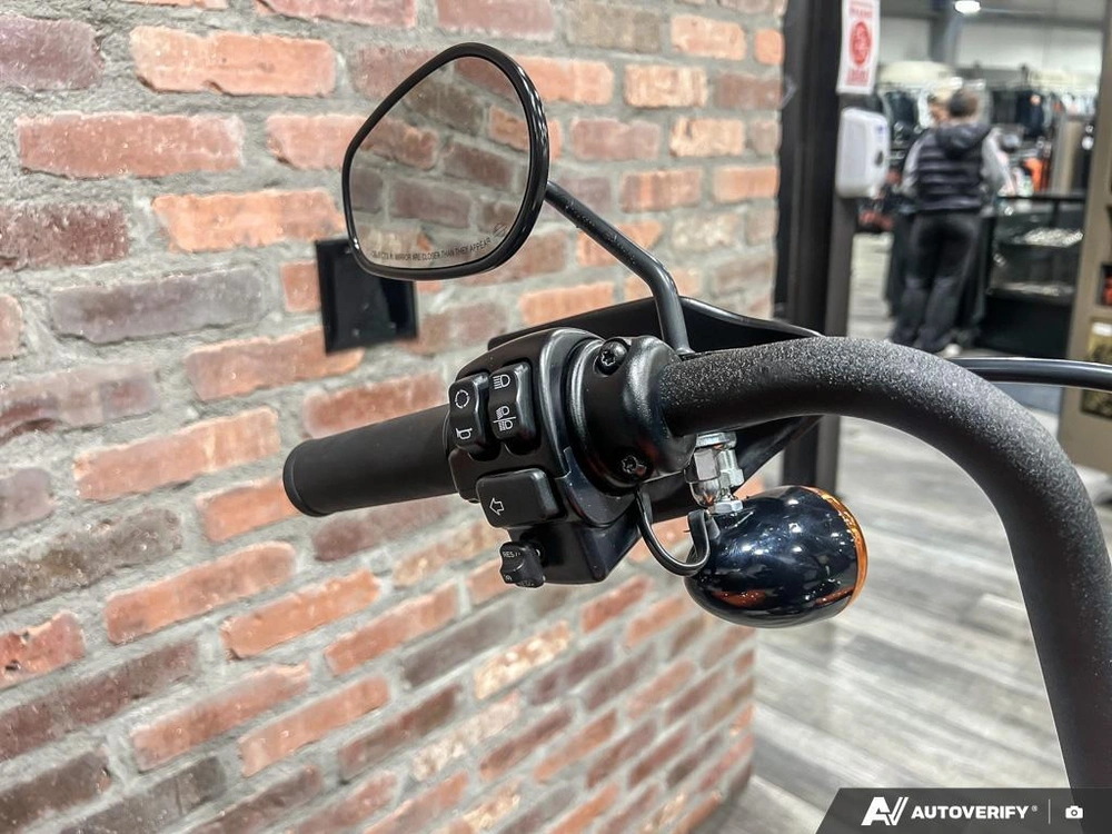 2021 Harley-davidson Fxbbs Street Bob 114 alt