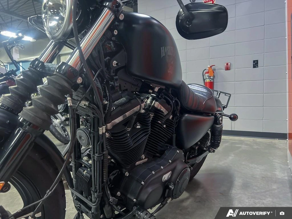 2017 Harley-davidson Xl883n - Iron 883™ alt