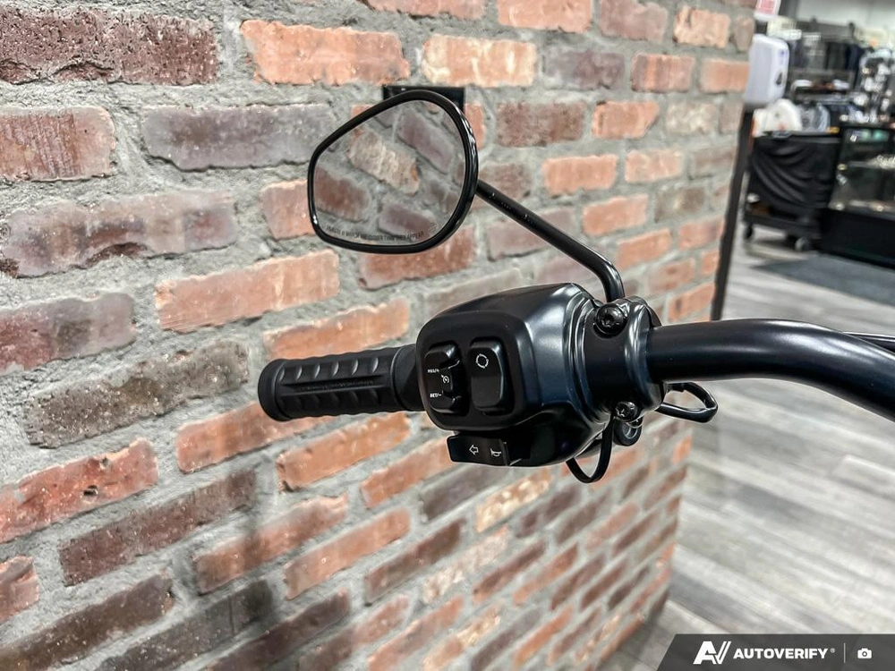 2025 Harley-davidson Fxlrs - Low Rider® S alt