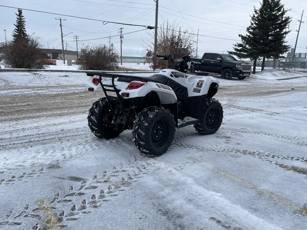 2025 Kawasaki Brute Force 450 alt