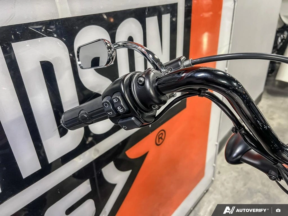 2018 Harley-davidson Xl1200xs - Sportster® Forty-eight® Special alt