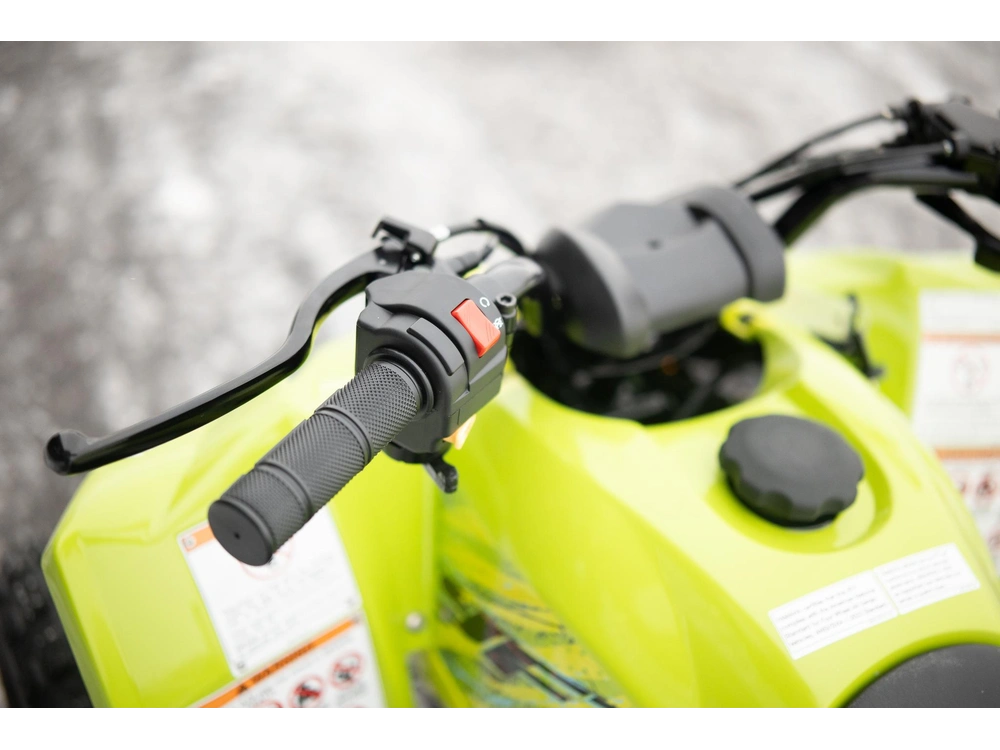 2026 Yamaha Yfz50 alt