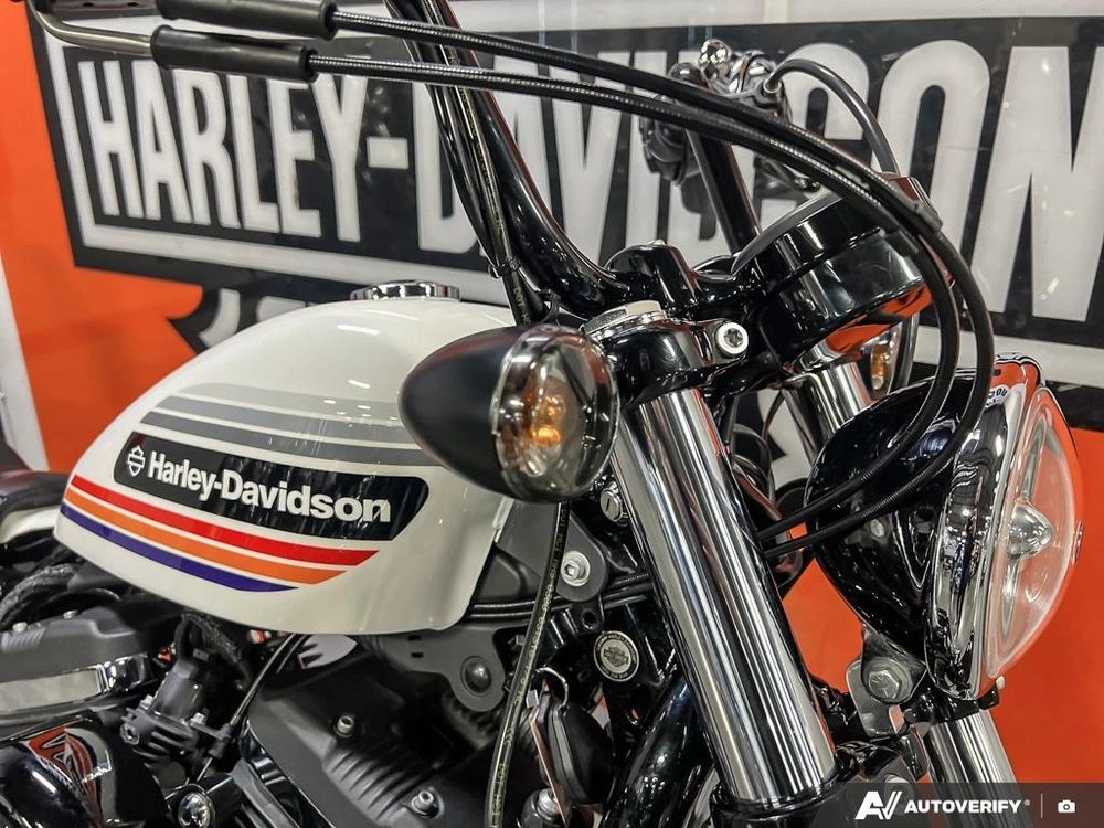 2018 Harley-davidson Xl1200xs - Sportster® Forty-eight® Special alt