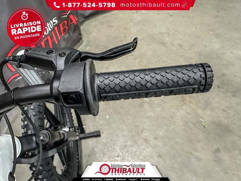 Husqvarna STACYC 18e drive