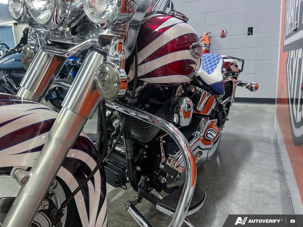 2004 Harley-davidson Flstci Heritage Classic alt